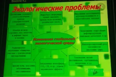 Урок «Экология и мы» - Ошколе.РУ