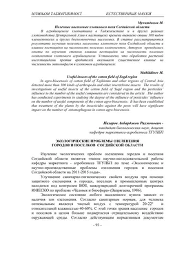 Презентация на тему: \"ЭКОЛОГИЧЕСКИЕ ПРОБЛЕМЫ. Земля в опасности ! The Earth  is in danger !\". Скачать бесплатно и без регистрации.