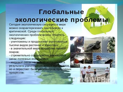 Презентация на тему \"Экологические проблемы РБ\"