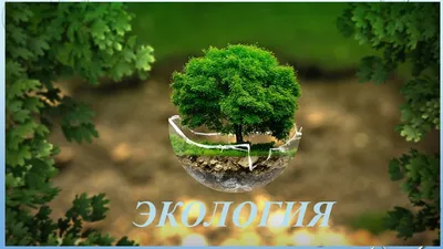 Рисунок экология природы - 40 фото