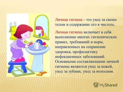 Лексическая тема: Человек. ( Части тела. Гигиена.) | ВКонтакте