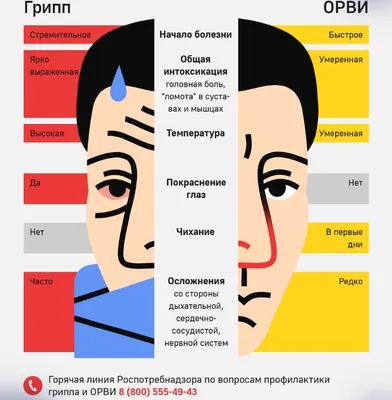 Пензенцам расскажут, чем отличается простуда от гриппа — Общество — Пенза  СМИ