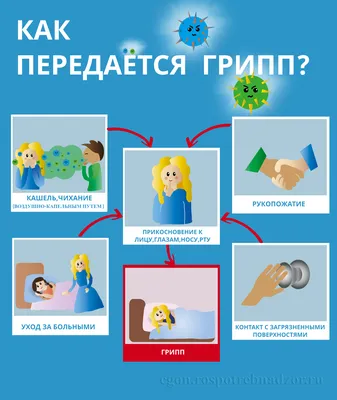 Профилактика гриппа и орви и коронавирусной инфекции – МБДОУ \"Детский сад  №248\"
