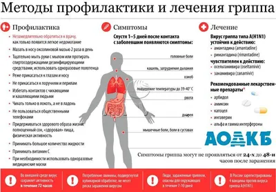 Реферат на тему грипп | Рефераты Хирургия | Docsity