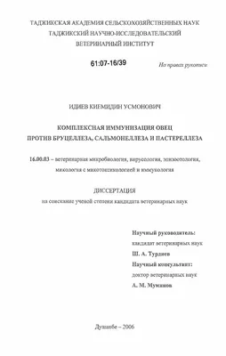 Дорожная клиническая больница