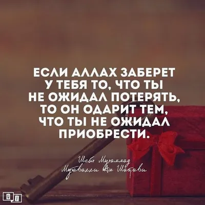 тема ислам продукт или косметический дисплей фиолетовый фон. рамка портала  мечети с подиумом и пустым пространством. студийный эта Иллюстрация вектора  - иллюстрации насчитывающей мечеть, приветствие: 225010041