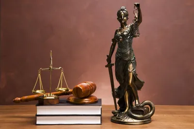 Юриспруденция — Конкурсы для студентов и учащихся