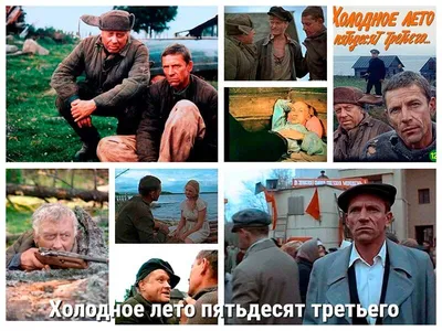 Какие плюсы у холодного лета? - KP.RU