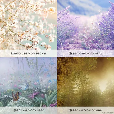 Темное мягкое лето
