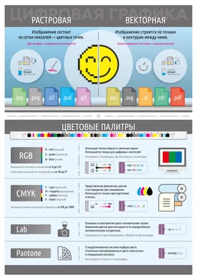 Пин на доске Infographic
