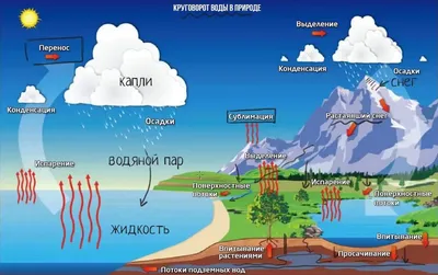 Картинки на тему круговорот воды в природе фотографии