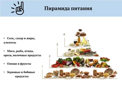 Тема 4 «Основы кулинарии» | «Региональный центр «Развитие»