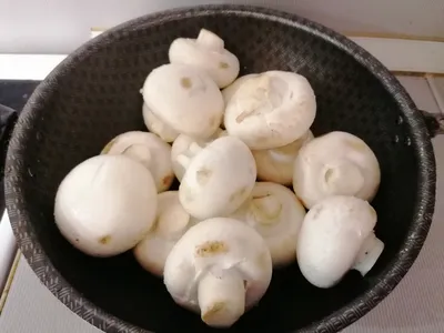 Cooking Master - бесплатная тема для кулинарных курсов на русском