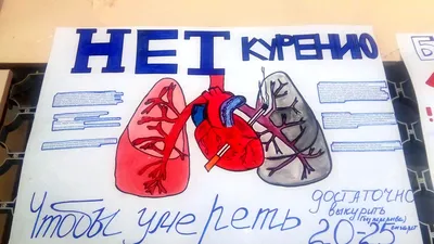 МБОУ СОШ № 2 г. Судак | Новости школы | Официальный сайт школы