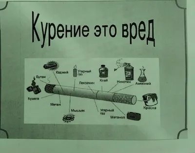 Буклеты