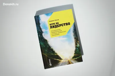 Классификация теорий и проблемное поле лидерства