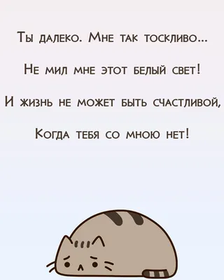 ШКОЛА Я ЛЮБЛЮ СКУЧАЮ
