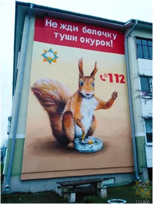 Дизайн с ноткой безопасности. Творческий конкурс на тему «Ландшафтный  дизайн МЧС» :: Бобруйск - Культура, отдых, развлечения