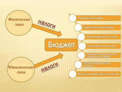 Урок экономики по теме \"Налоги\". 6-й класс