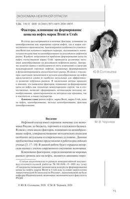 Презентация \"Нефть. Переработка нефти.\"