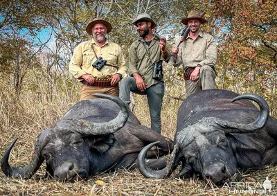 https://www.ohotniki.ru/photo/hunting/3557-ohota-na-buyvolov-v-kamerune.html