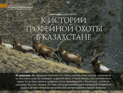 Толстовка с 3D принтом на тему Охота Детские и взрослые размеры | Booom Shop