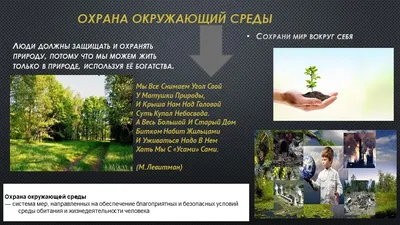 Защита природы - красивые фото
