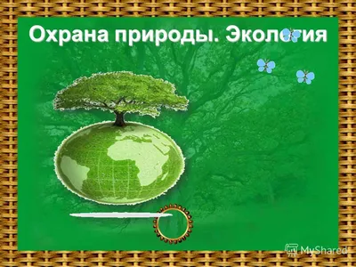 Рисунок на тему защита леса - 82 фото