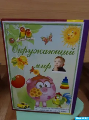 Лэпбук на тему «Окружающий мир» (3 фото). Воспитателям детских садов,  школьным учителям и педагогам - Маам.ру