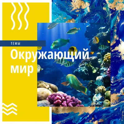 Наглядный окружающий мир купить по низким ценам в интернет-магазине Uzum  (212869)