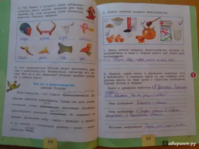 Раскраска раскраски для детей. Раскраски на тему окружающий мир, раскраски  с изображениями снежинок.