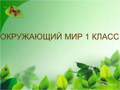 Животных Окружающий Мир Карта — стоковая векторная графика и другие  изображения на тему Темы о животных - Темы о животных, Карта мира, Глобус -  iStock
