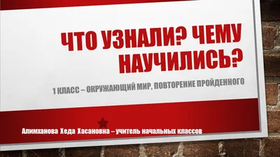 Тест на тему: Грибы. Окружающий мир, 2 класс. Мало кто справляется с этим  тестом. | VokrugVsego | Дзен