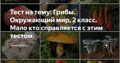ГДЗ часть 1 (страница) 78 окружающий мир 3 класс рабочая тетрадь Плешаков