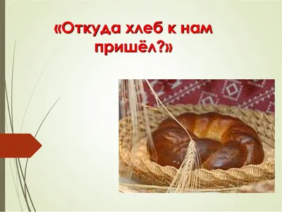 Тематическая неделя \"Откуда хлеб пришел?\" в средней группе \"Золотой ключик\"  | Детский сад №4 «Ласточка»
