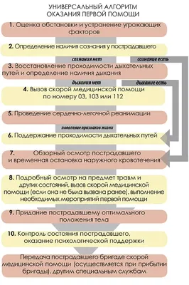 Правила оказания первой доврачебной медицинской помощи