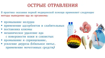 Первая медицинская помощь пострадавшим при ЧС. Проведение реанимационных  мероприятий. | Рефераты Основы безопасности жизнедеятельности (ОБЖ) |  Docsity