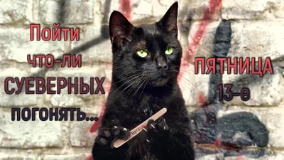 Пятница 13 в разгар пандемии: мемы не для суеверных | Mixnews