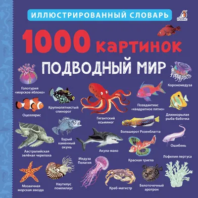 Фотопечать на тему Подводный мир