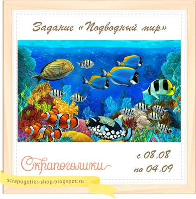 Р \"1000 картинок. Подводный мир\" купить за 491,00 ₽ в интернет-магазине  Леонардо