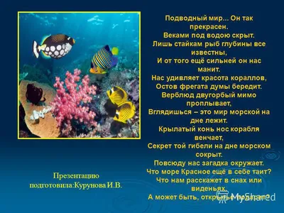 Подводный мир - обои на рабочий стол о Midjourney | Пикабу