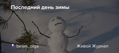 Последний день осени 2023 года: картинки и открытки к 30 ноября - МК  Волгоград