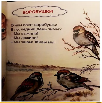 Последний день осени 2023 года: картинки и открытки к 30 ноября - МК  Волгоград
