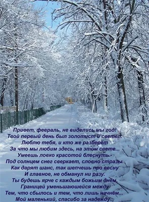 Зима вернулась в Брянскую область - Брянский ворчун
