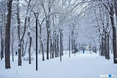 https://tolyatty.ru/text/world/2024/01/14/73114244/
