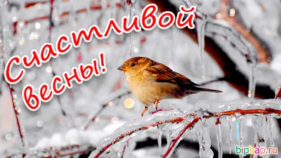 Погода в Ярославле онлайн: каким был последний день зимы, фоторепортаж - 28  февраля 2023 - 76.ru