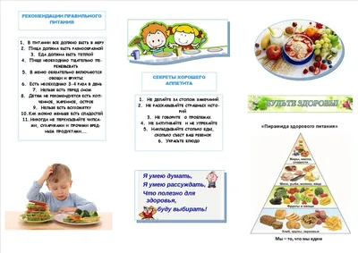 Организация питания