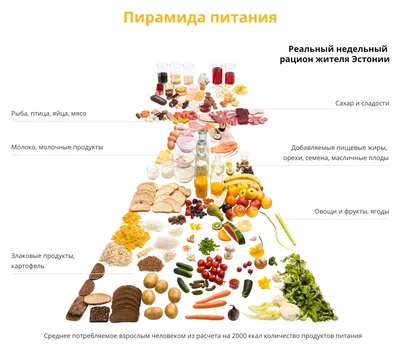 Рациональное питание