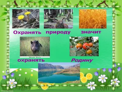 Природа и мы - презентация 4 класс