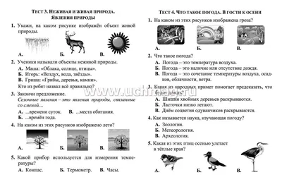 Ответы Mail.ru: сочинение на тему природа -наш дом. сочинение на тему  природа наш дом